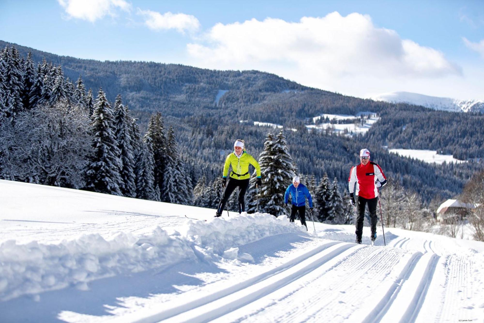 Alpenpark Turrach By Alps Resorts Turracher Hohe エクステリア 写真